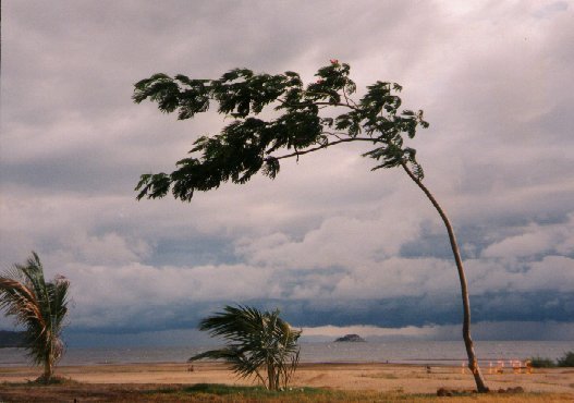 Not Cape Maclear! Not 1996! But Lake Malawi nevertheless!